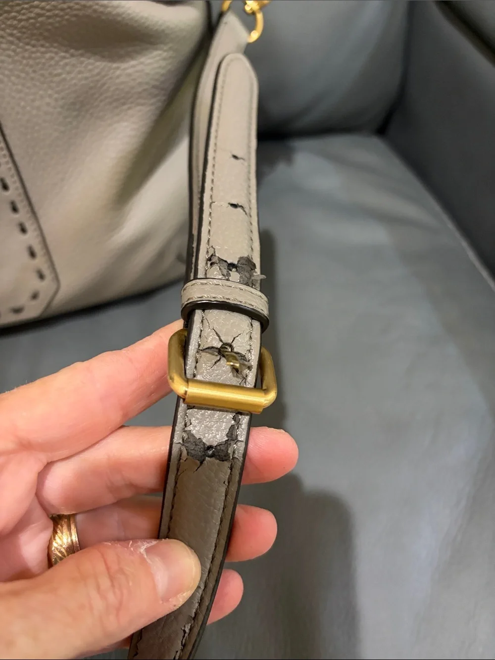 NWT Perlina Pebbled Leather Purse